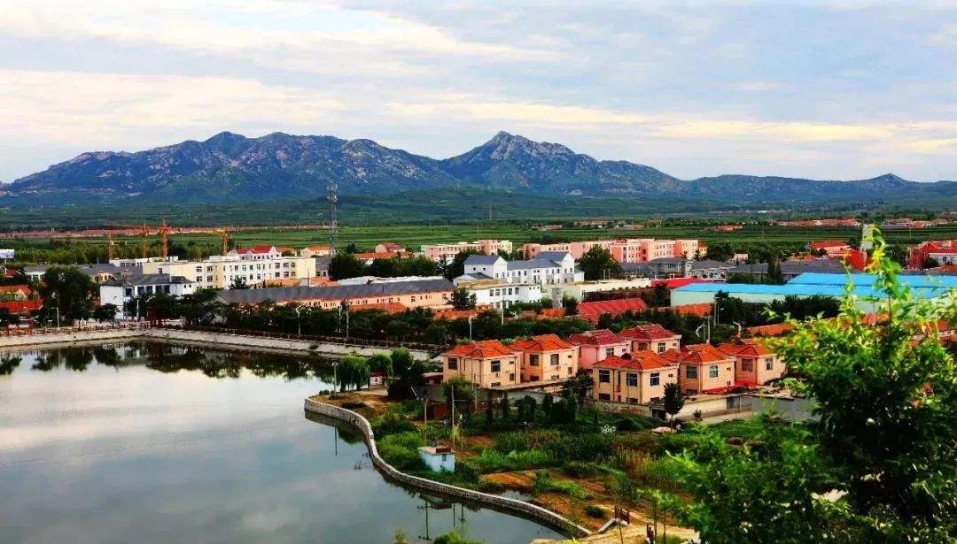 青島市“十四五”生態(tài)環(huán)境保護(hù)規(guī)劃了哪些農(nóng)村人居環(huán)境治理任務(wù)？